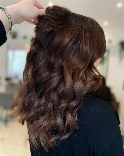 chestnut hair color