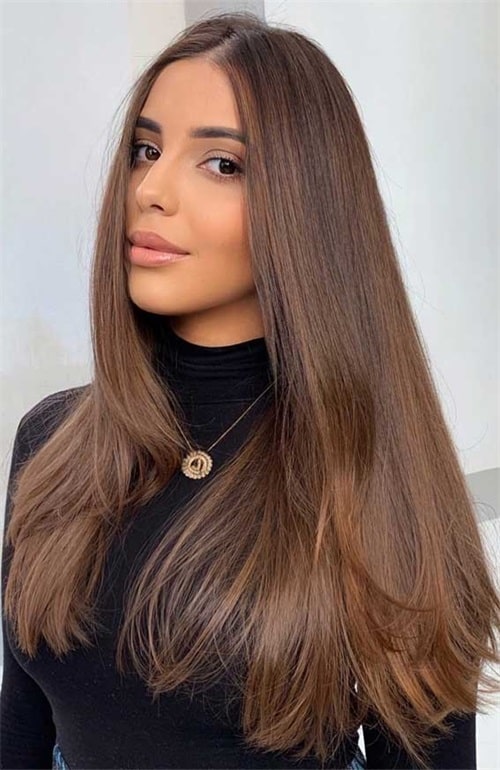 What is chestnut hair color?