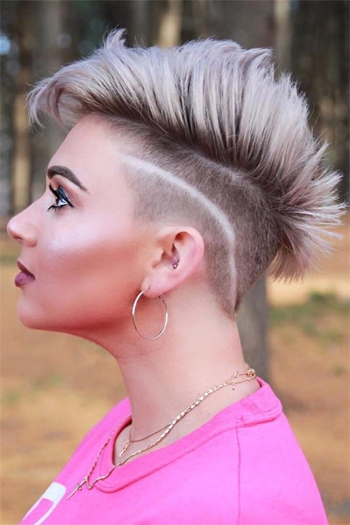 Mohawk skunk