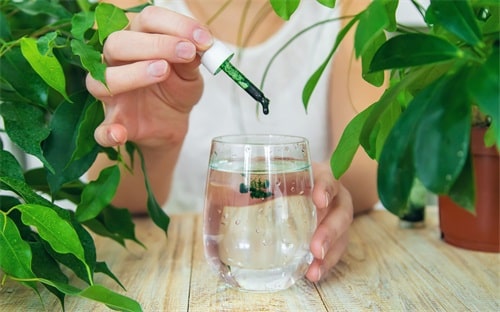 benefits of chlorophyll for hair