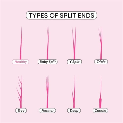 What are split ends?