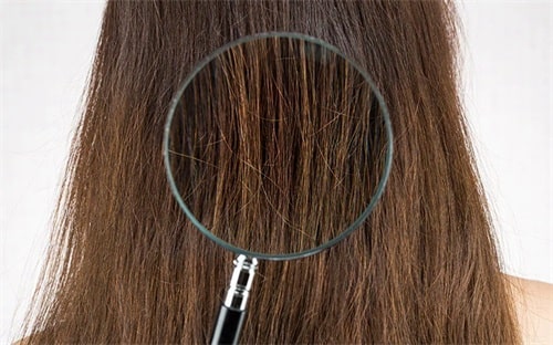 What is coarse hair?