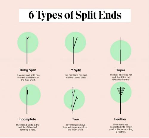 types of split ends