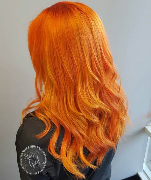 Carrot Gold
