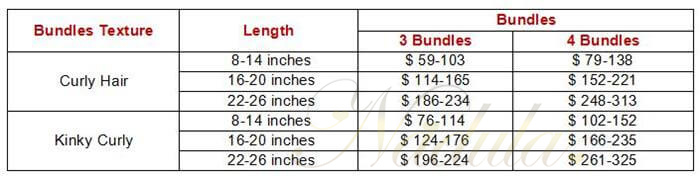 curly hair bundles price list