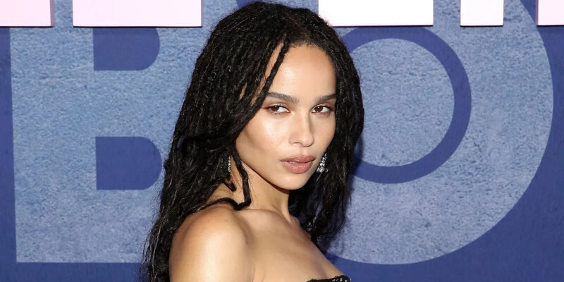  10 Bohemian Box Braids Styles for Black Women