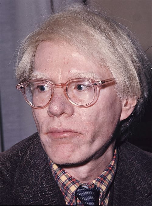  Andy Warhol wig