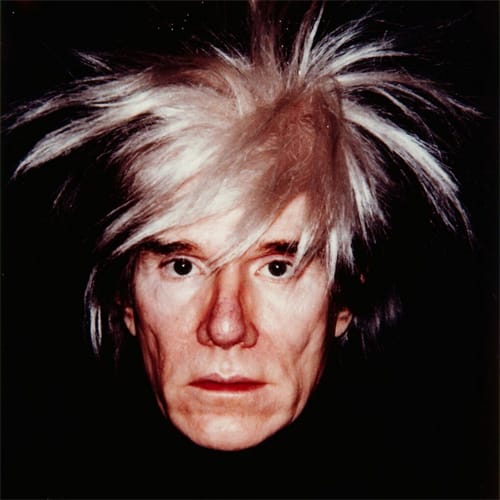  Andy Warhol wigs
