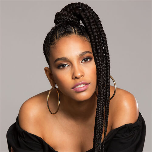 Braided Bun with Ponytail