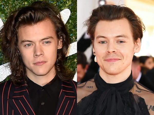 Harry styles hair