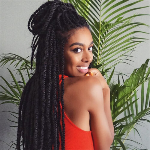 Small Kinky Twists Hairstyle