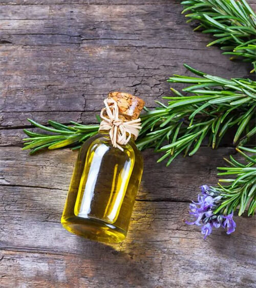 rosemary oil