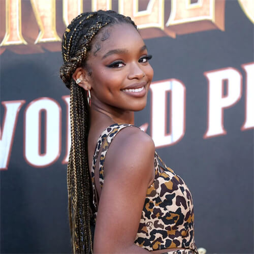 best braided hairstyles