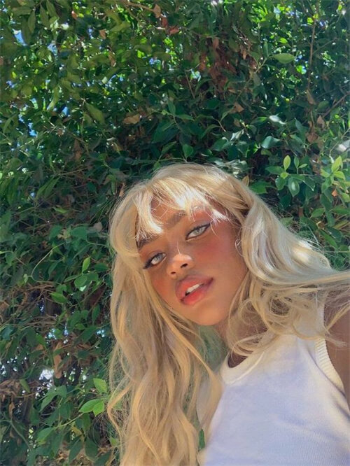 How Do You Get Platinum Blond Hair